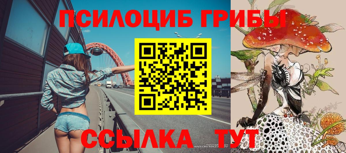 Галлюциногенные грибы Psilocybine cubensis Улан-Удэ